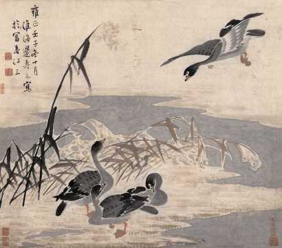 边寿民 雍正壬子（1732年）作 芦雁 立轴